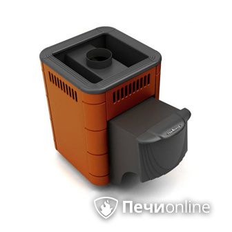 Дровяная банная печь TMF Оса Carbon терракота дверь антрацит в Березниках